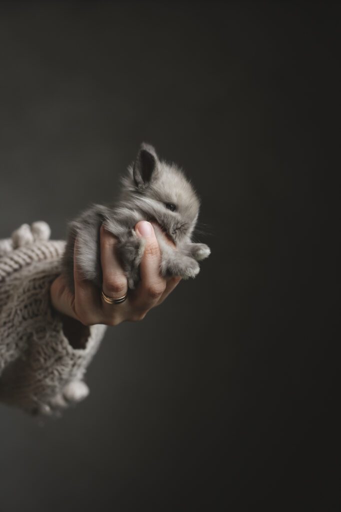 IMG 3779 Lovely Life