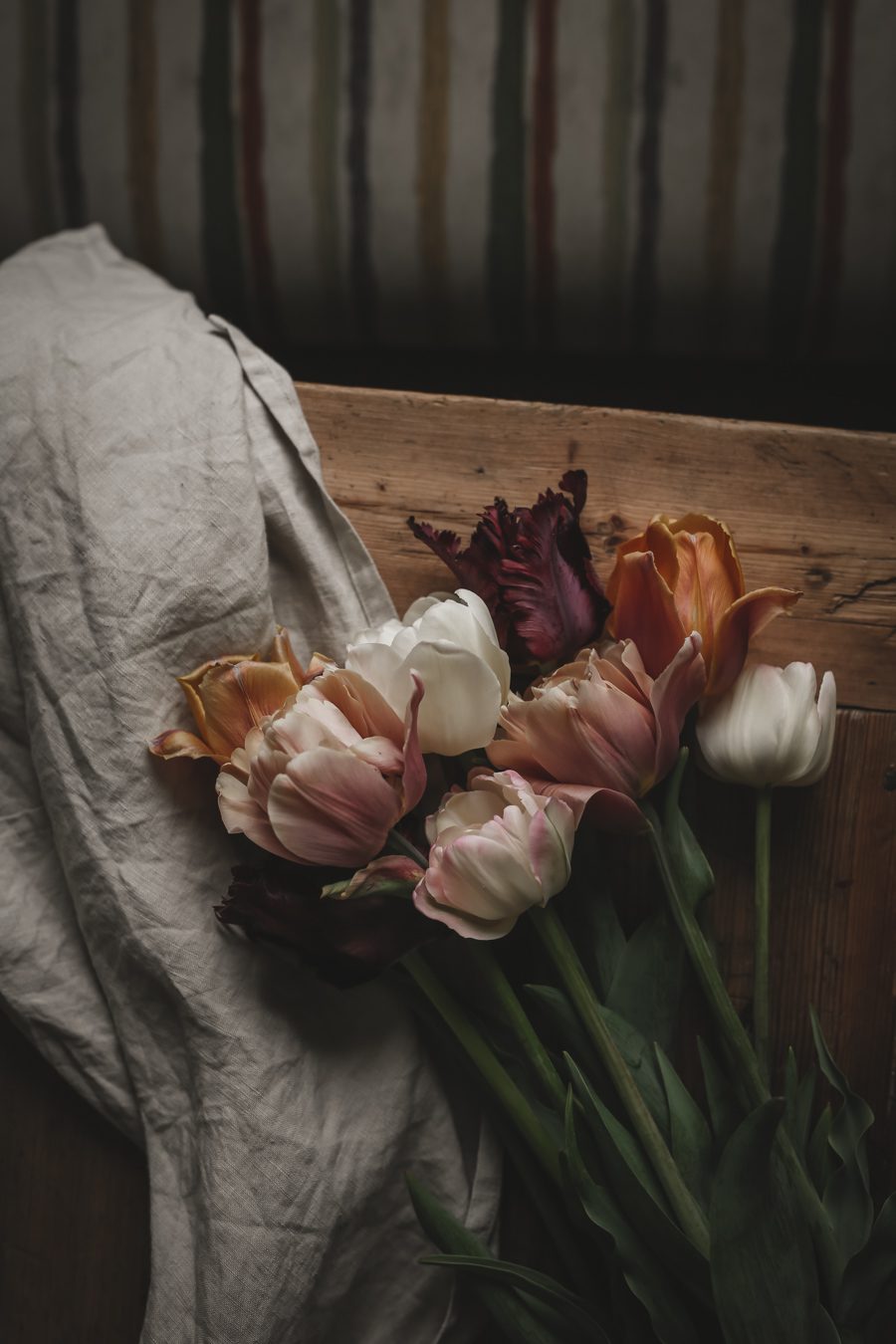 IMG 3991 Årets tulpaner