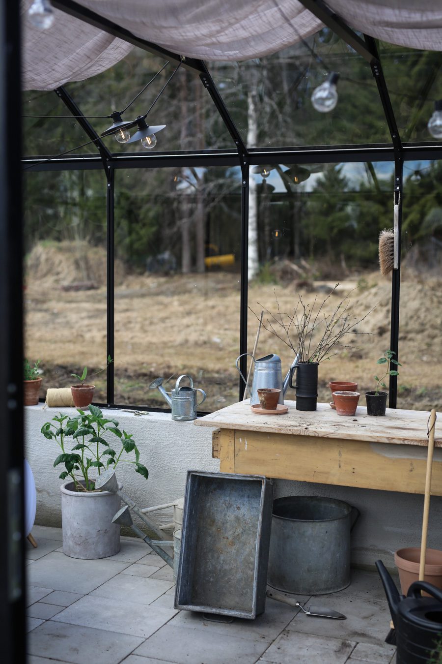 IMG 4573 2 Läget i växthuset