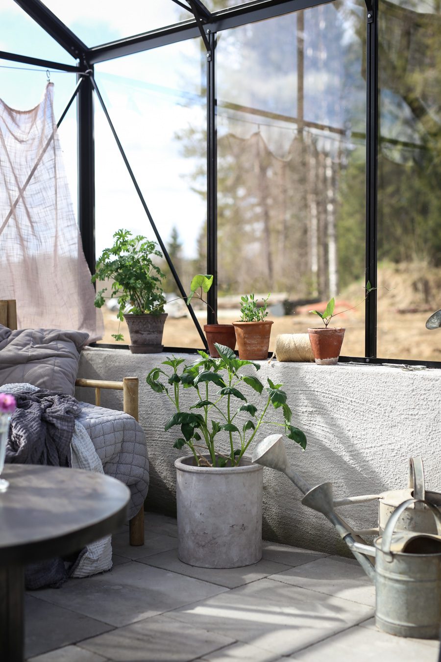 IMG 4582 2 Läget i växthuset