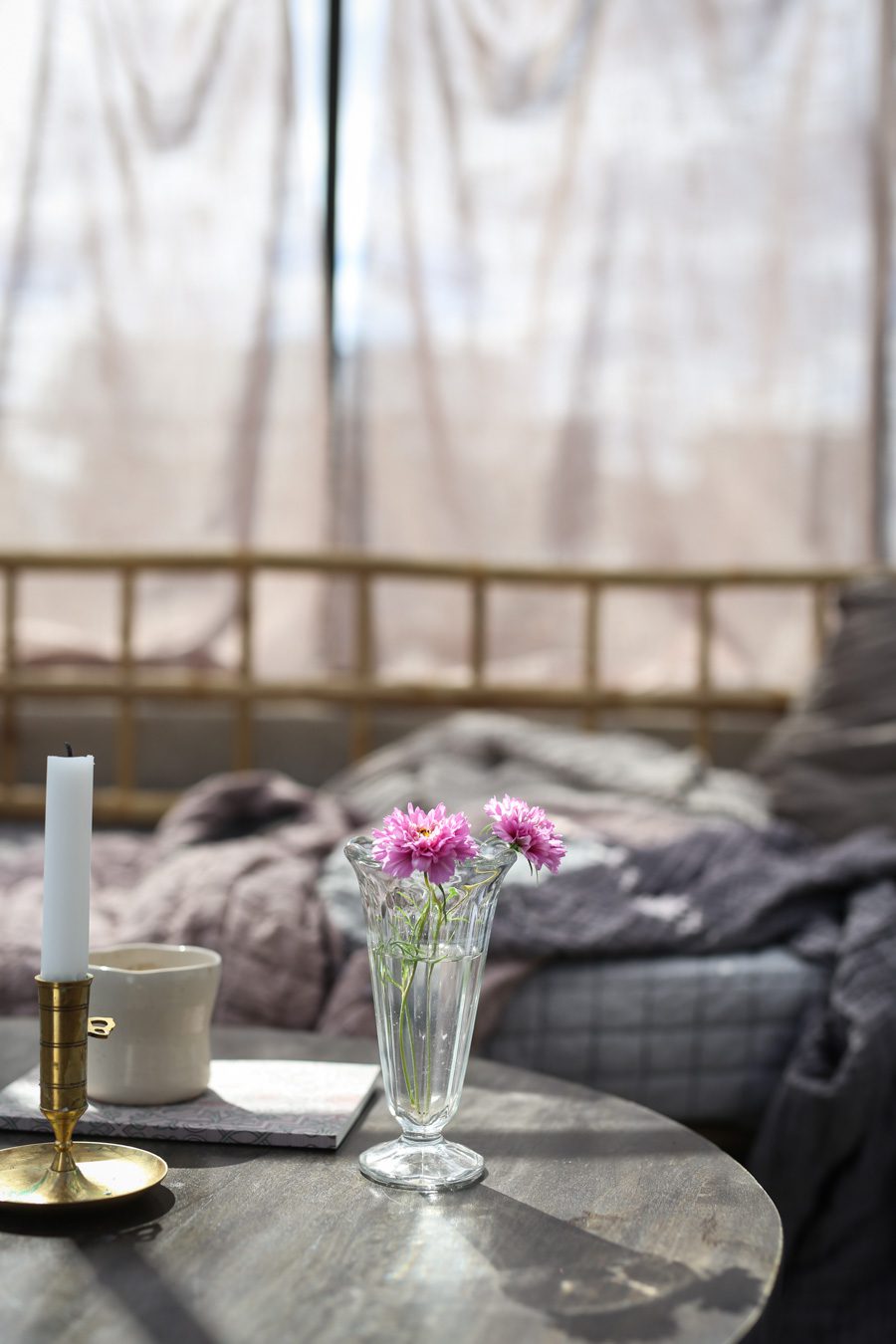 IMG 4606 Läget i växthuset