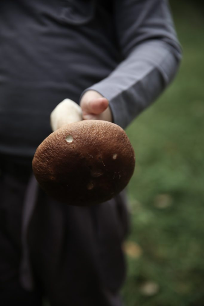 IMG 5697 Lovely Life