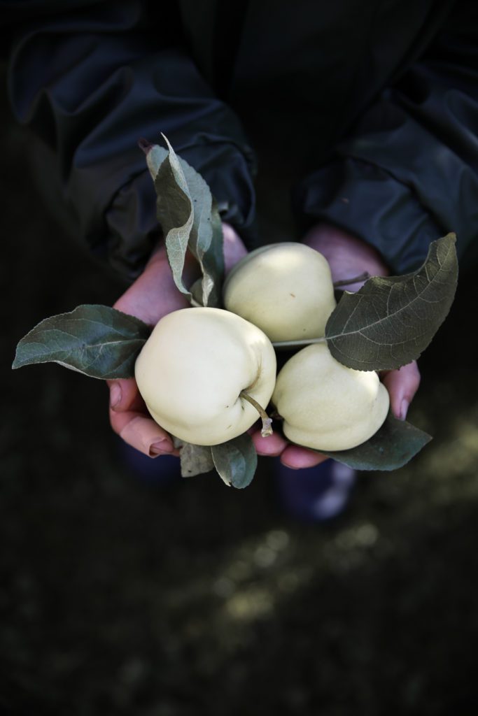 IMG 5903 1 Lovely Life