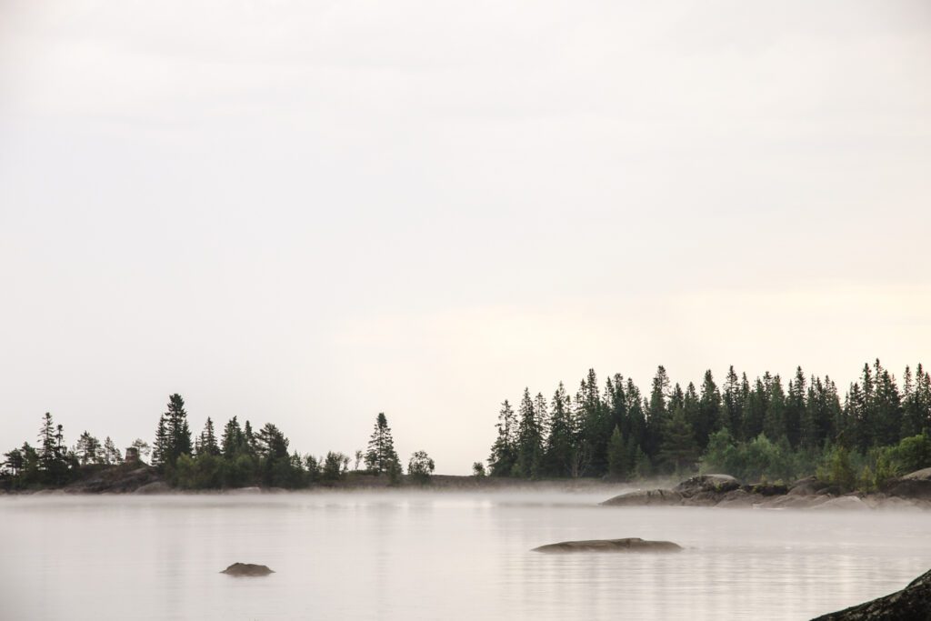 IMG 7033 1 1 Lovely Life