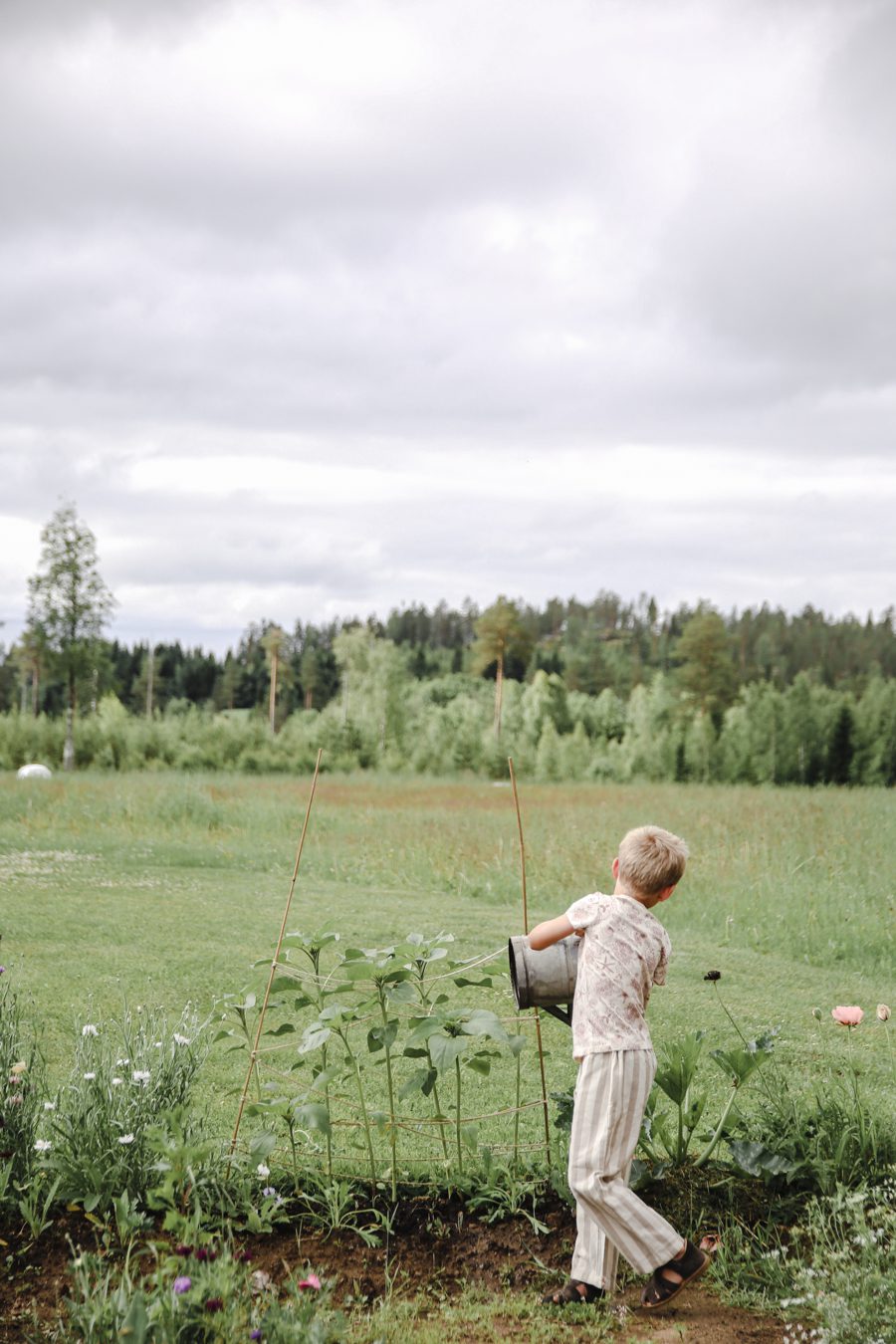 IMG 7109 Mina trädgårdsmästare