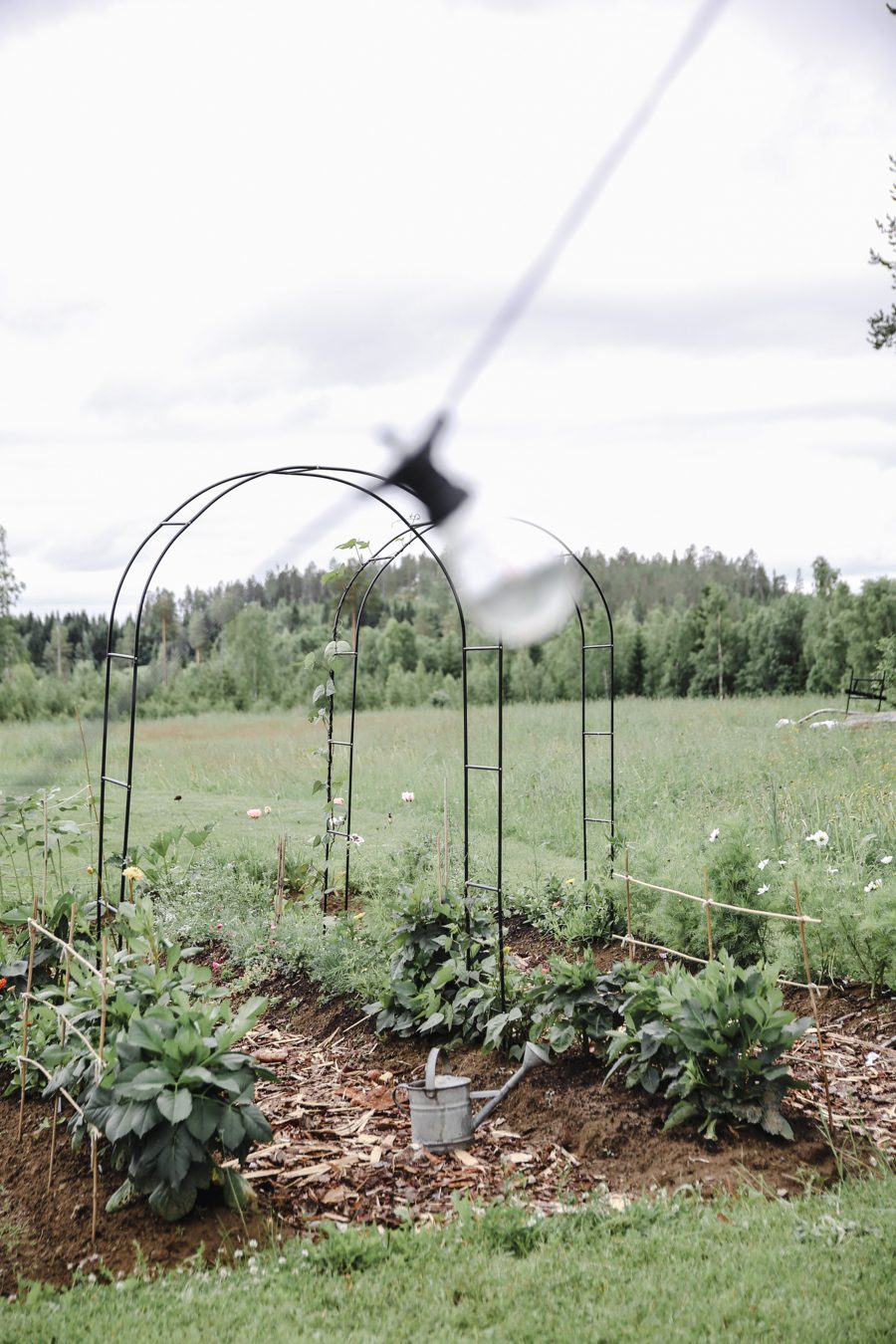 IMG 7131 Mina trädgårdsmästare