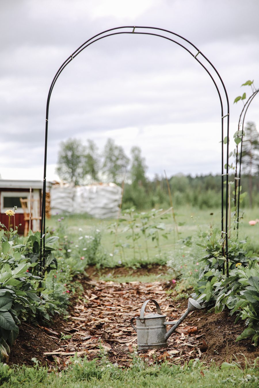 IMG 7132 Mina trädgårdsmästare