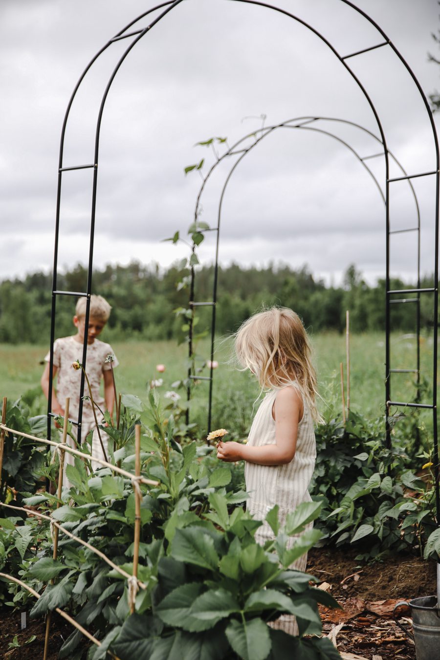 IMG 7172 Mina trädgårdsmästare