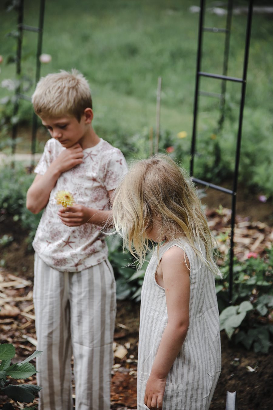 IMG 7186 Mina trädgårdsmästare