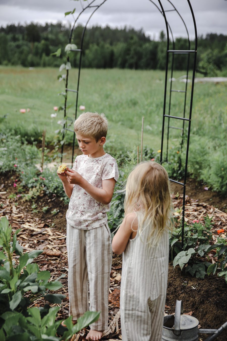 IMG 7188 Mina trädgårdsmästare