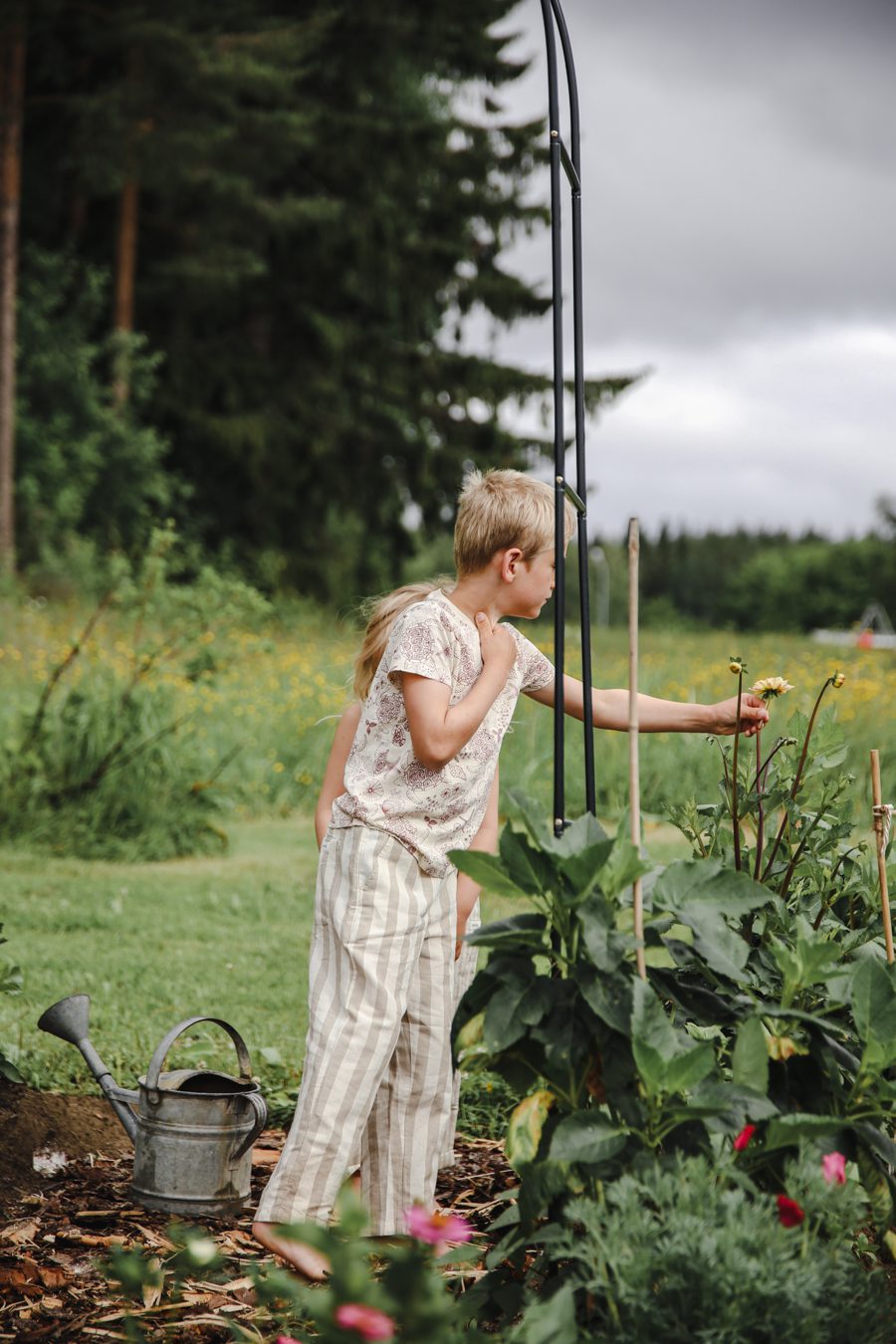 IMG 7193 Mina trädgårdsmästare