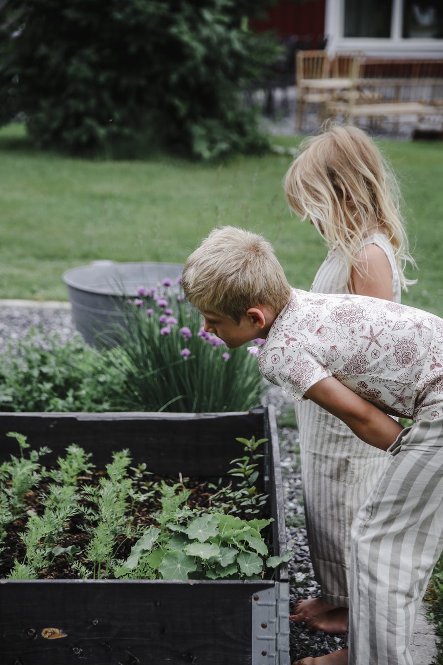 IMG 7248 Mina trädgårdsmästare