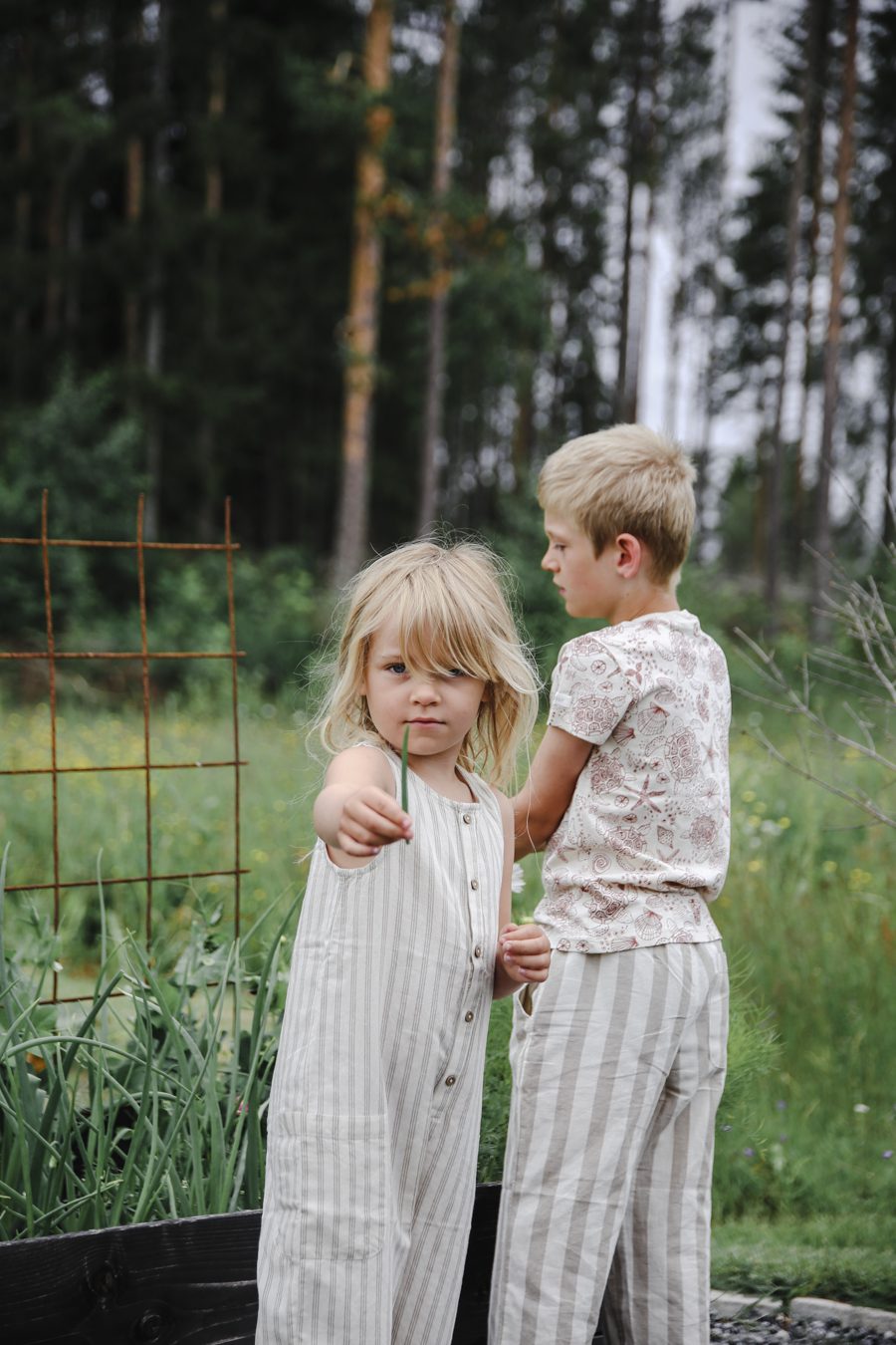 IMG 7251 Mina trädgårdsmästare