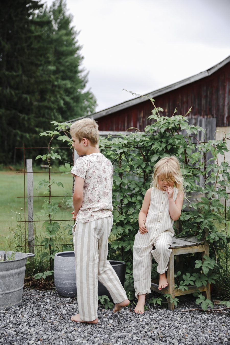 IMG 7255 Mina trädgårdsmästare