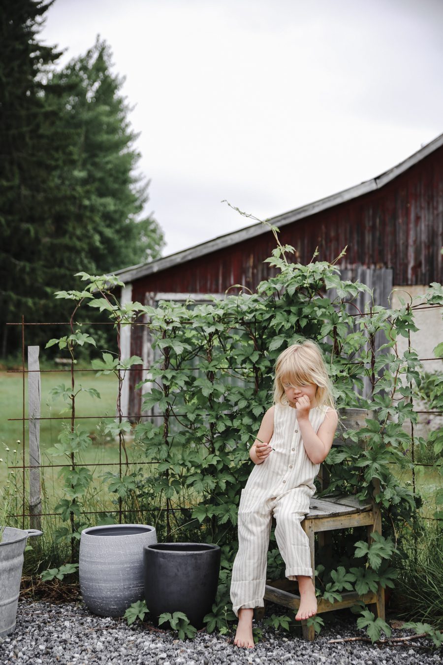 IMG 7258 Mina trädgårdsmästare