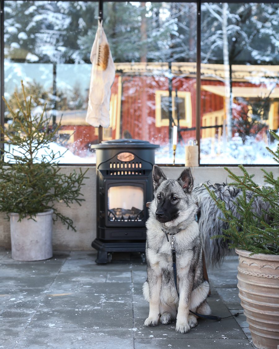 IMG 7847 Ny gasolkamin i mitt växthus!