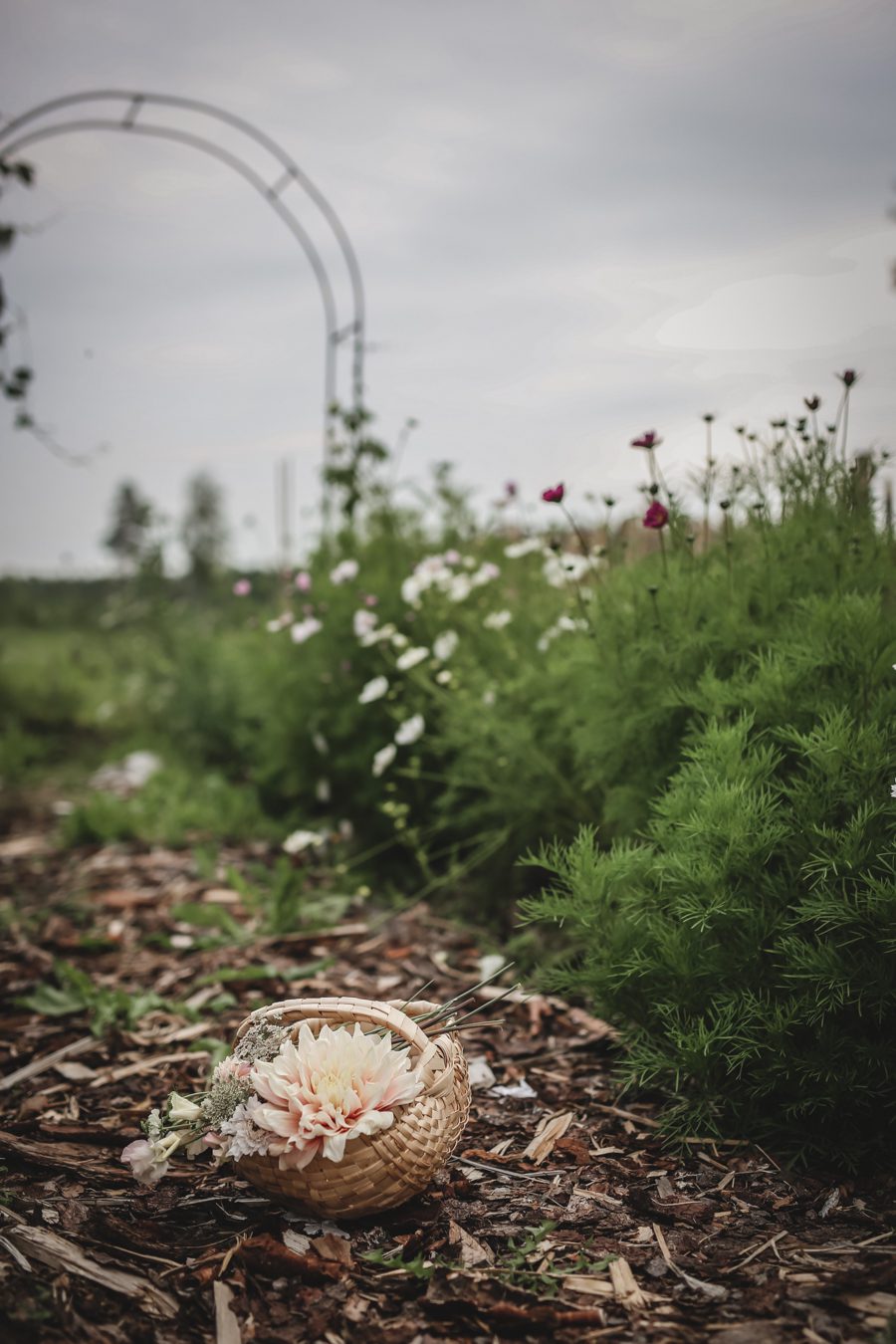 Blomsterlyckan 5 IMG 7969 Blomsterlyckan