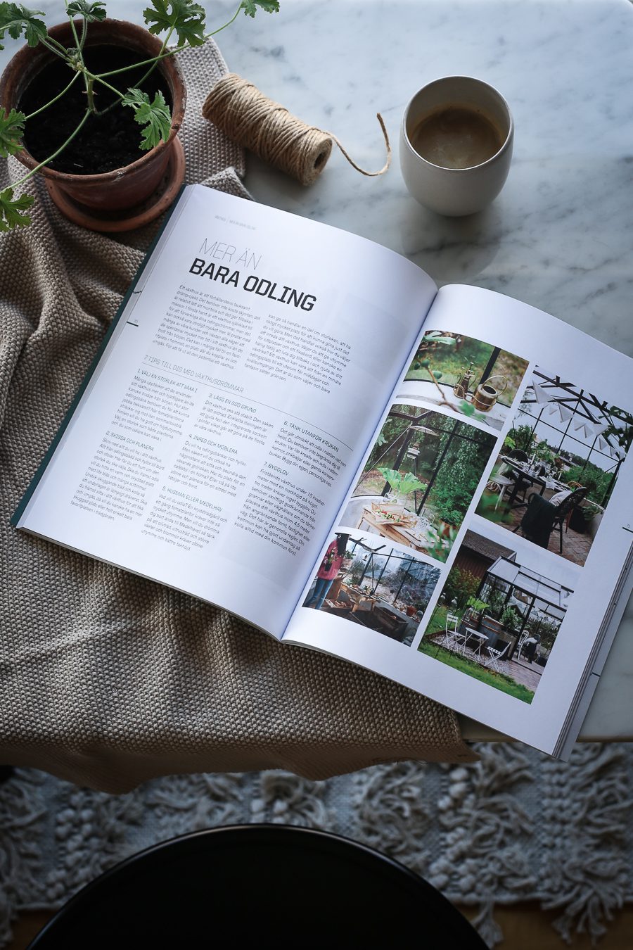 IMG 8406 Drömmen om ett växthus!