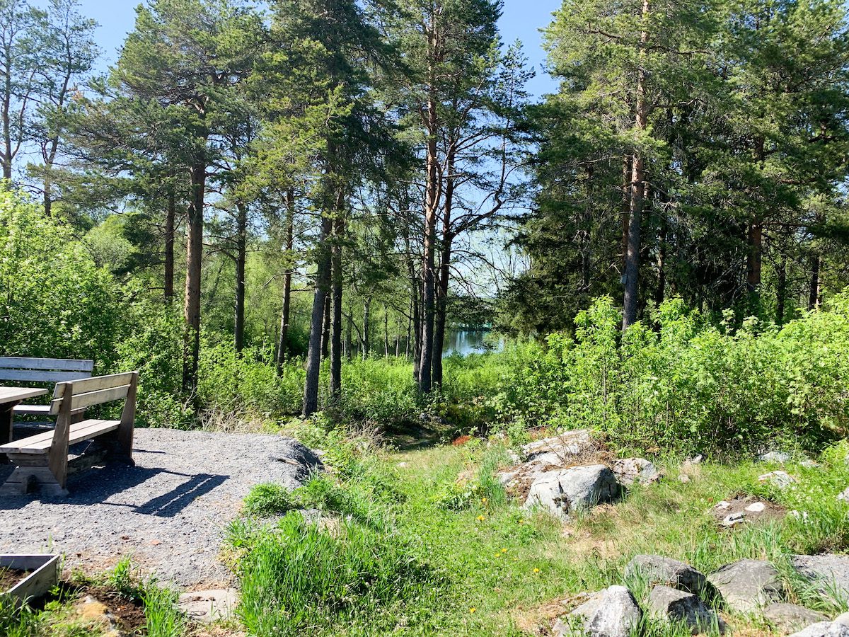 IMG 8903 Välkommen sommaren och välkommen ny Eljest i Umeå!