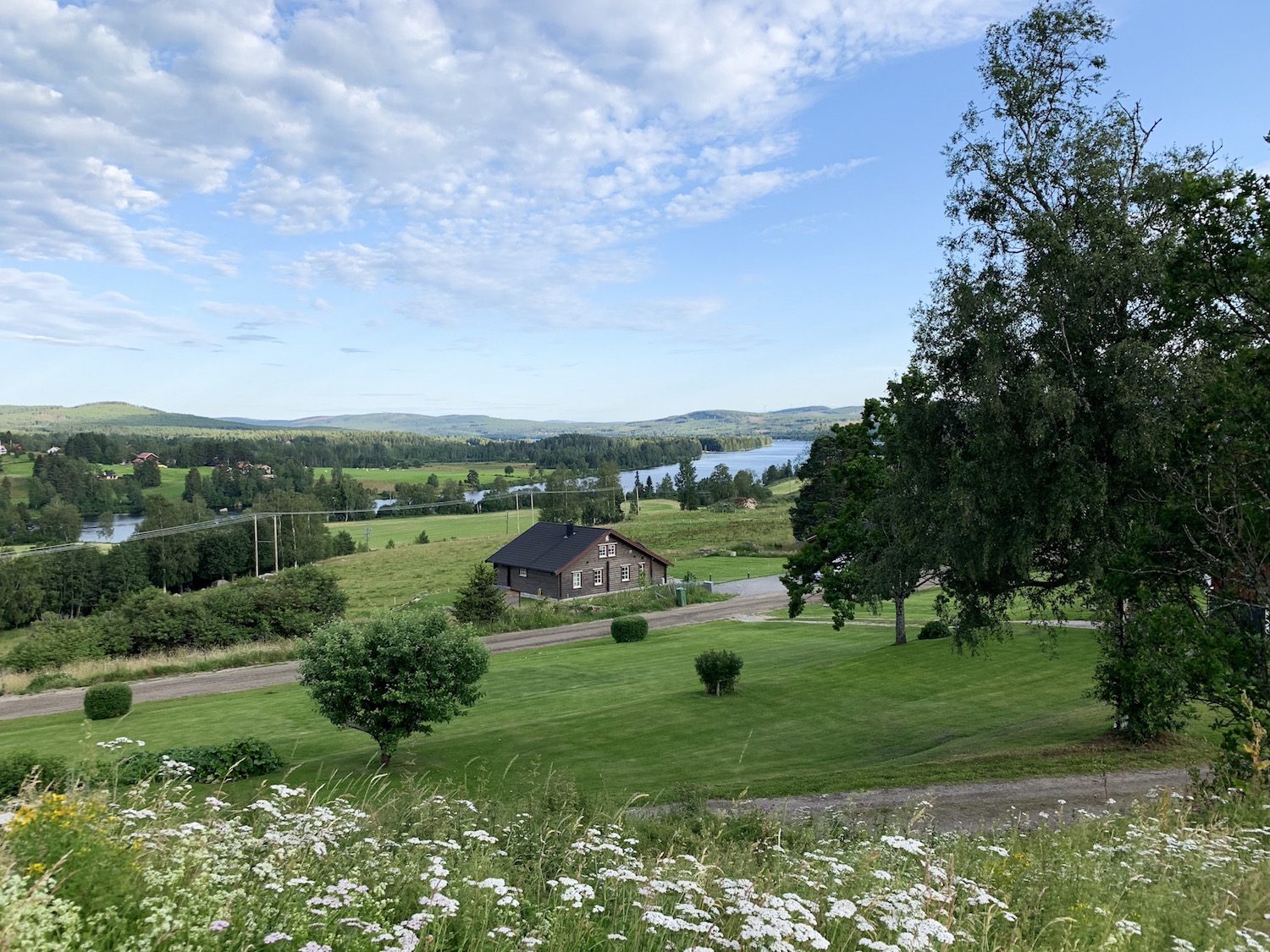 IMG 9254 1 Hälsningar från Hälsingland