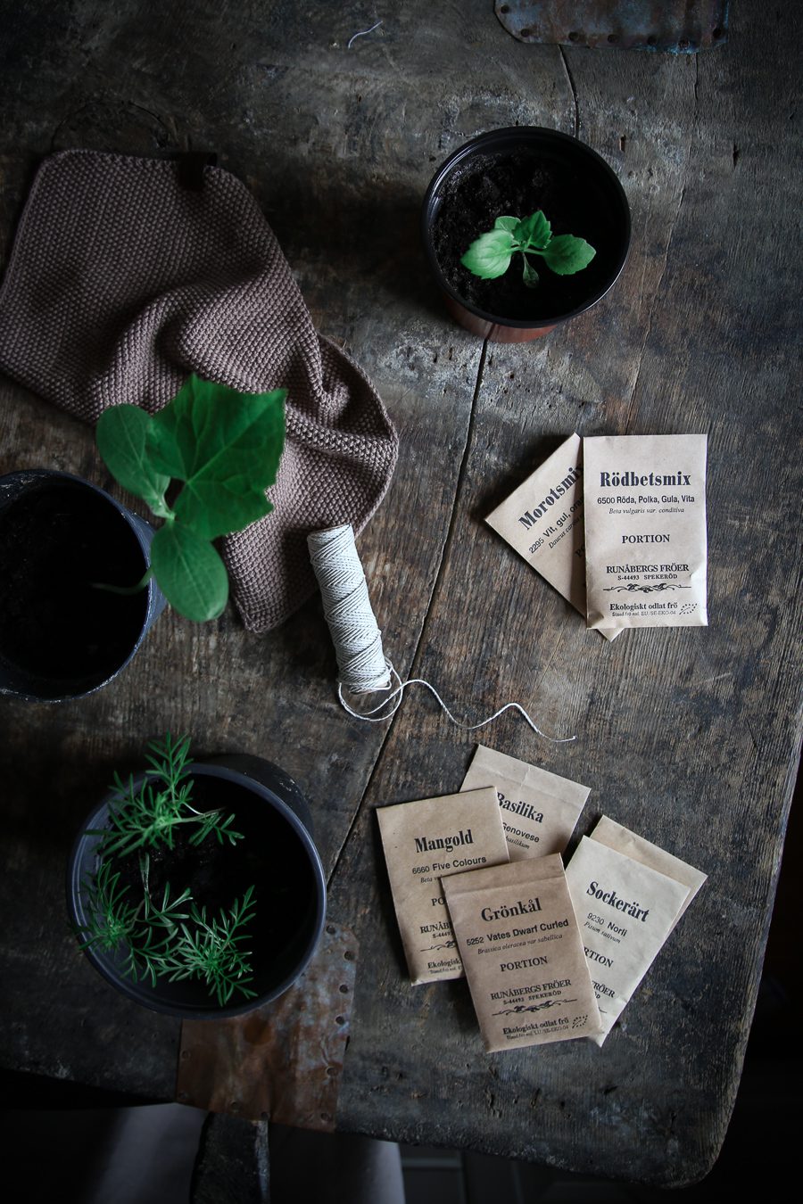 IMG 9391 Förkultivering, dahliaknölar och växthuslängtan