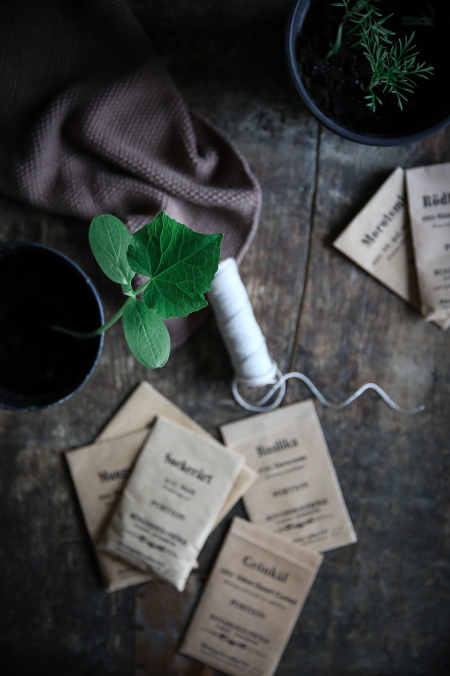 IMG 9404 Allt om hur man odlar sina egna blommor