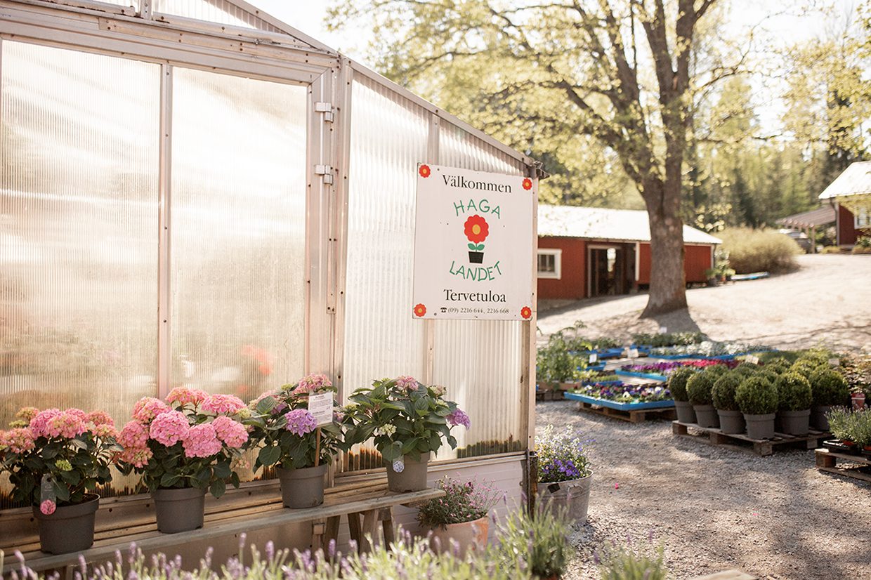 Bland Blommor & Valpar 1 IMG 9891 2 Bland Blommor & Valpar