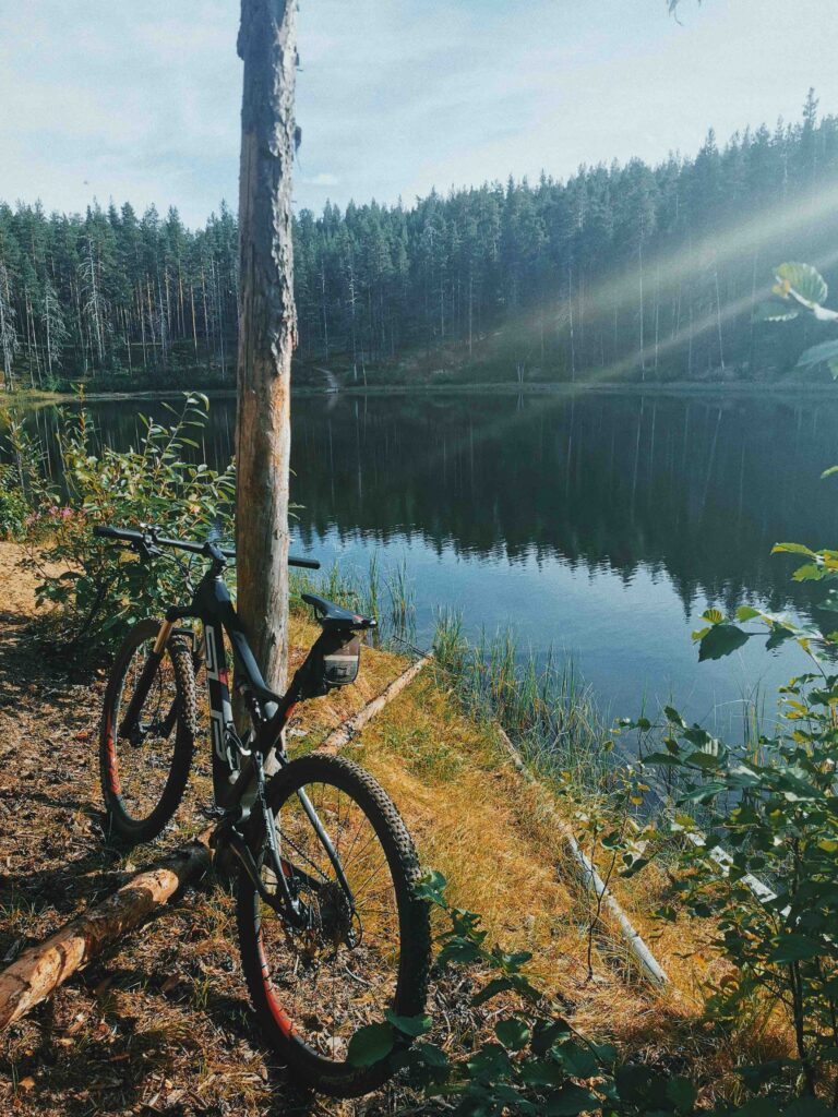 Isälvsleden cykel Rivia Jens 2 Mina 5 favoritutflykter i Umeå (och runt omkring)