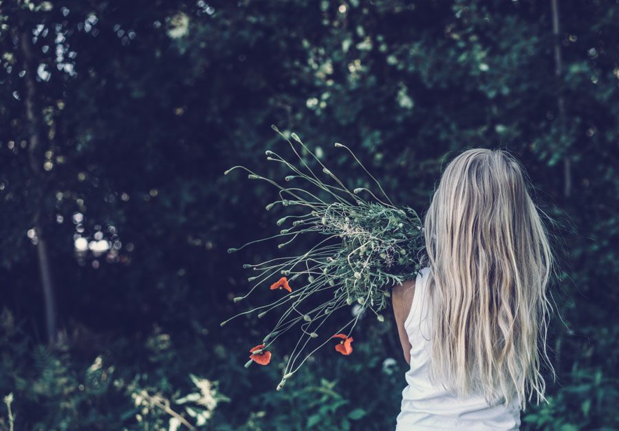 Läs mer om artikeln Om att torka och spara ogräs.