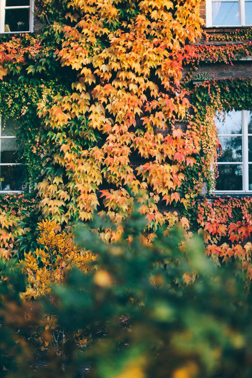 Kungsholmen host 2018 Volang Lovely life 6 Hösten på Kungsholmen och Vintagefabriken flyttar