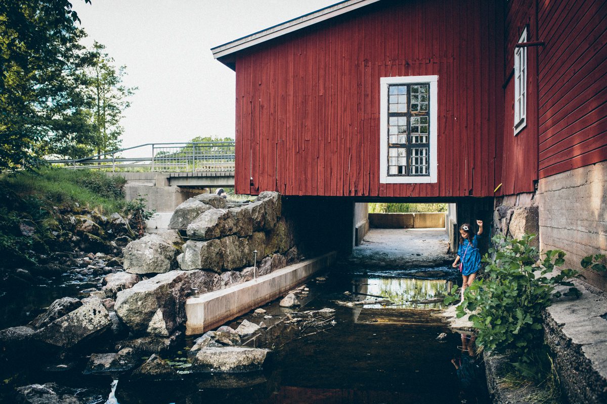 Läs mer om artikeln finbesök i trakterna
