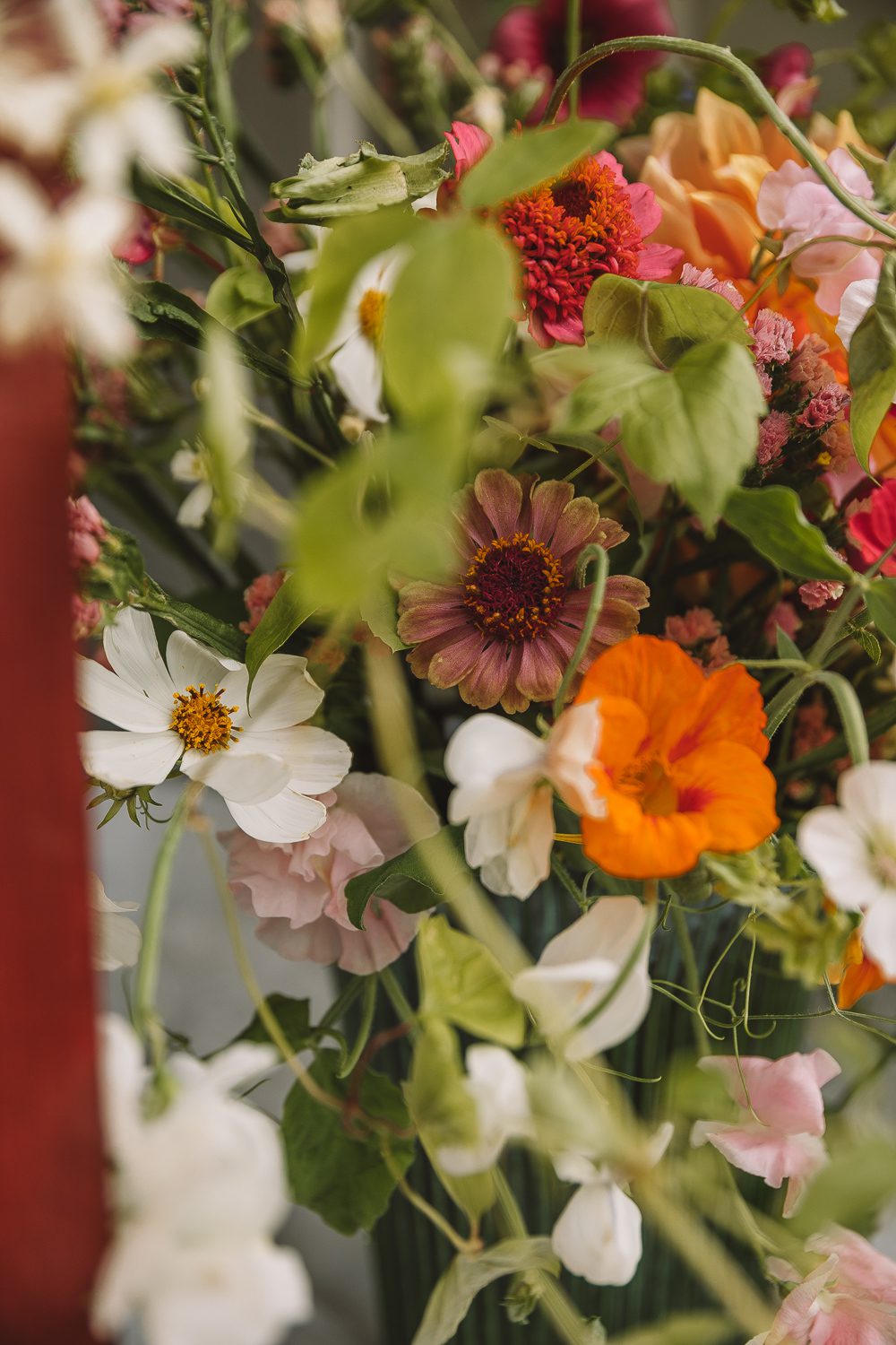 Nelsson garden blogg 7 Hur gick det egentligen med mina snittblommor?