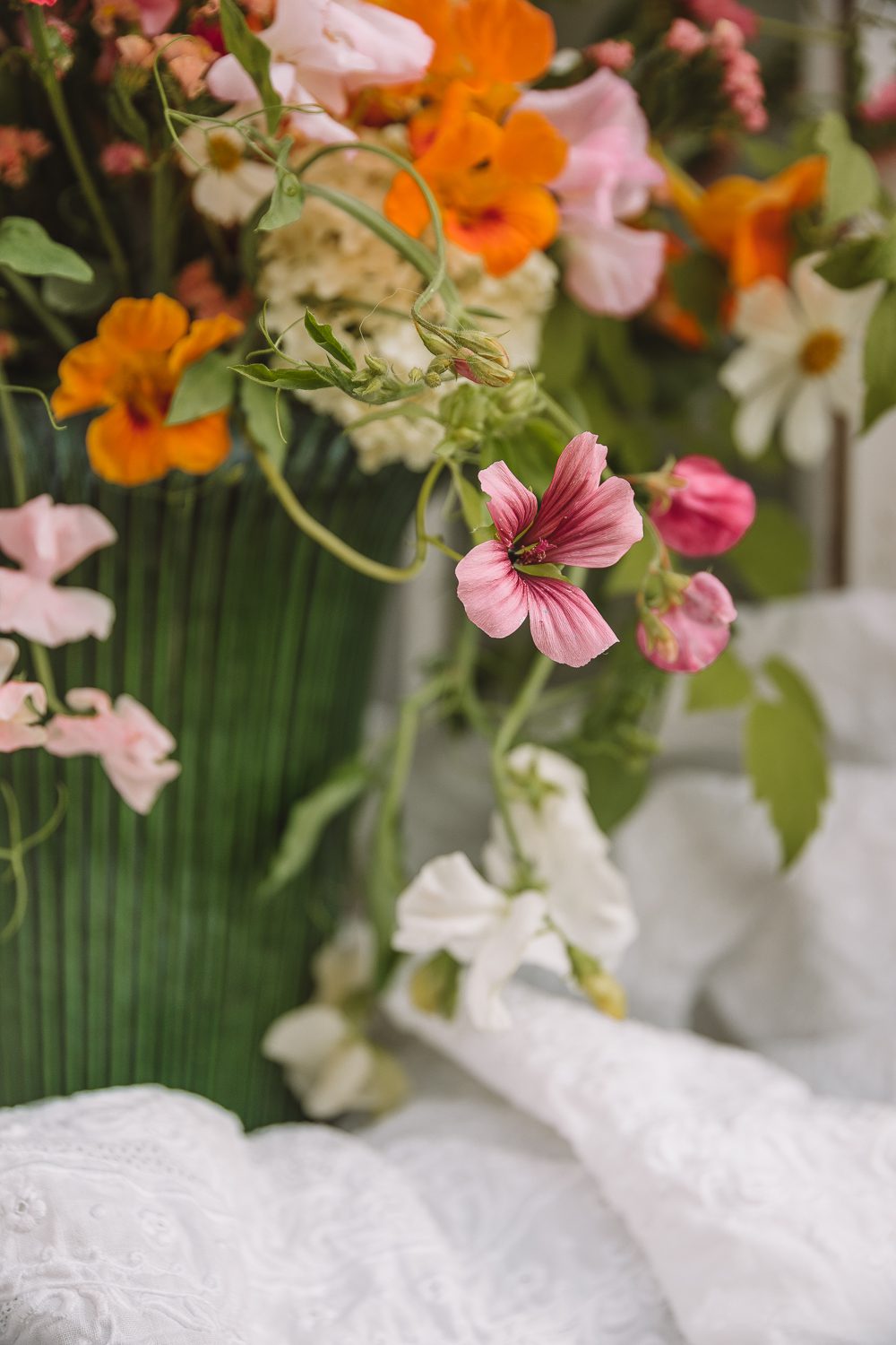 Nelsson garden blogg 8 Hur gick det egentligen med mina snittblommor?