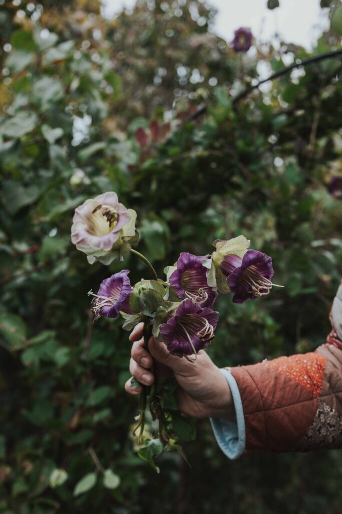 Nelsson garden klockranka blogg 14 Lovely Life