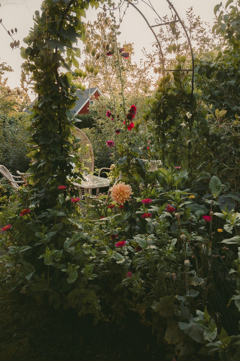 Läs mer om artikeln Hur gick det egentligen med mina snittblommor?
