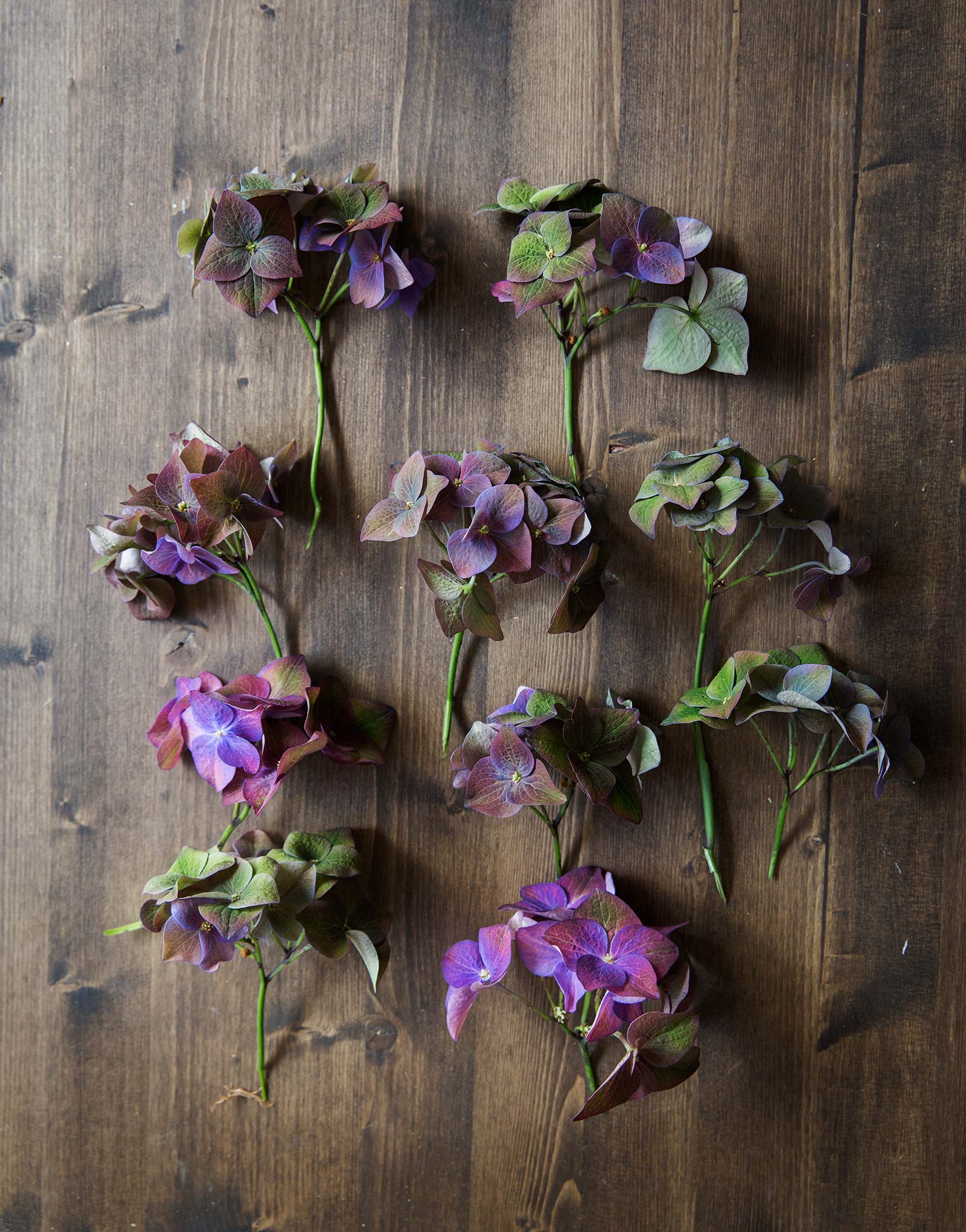 Oktoberkransen steg 3 Hortensiakrans -DIY