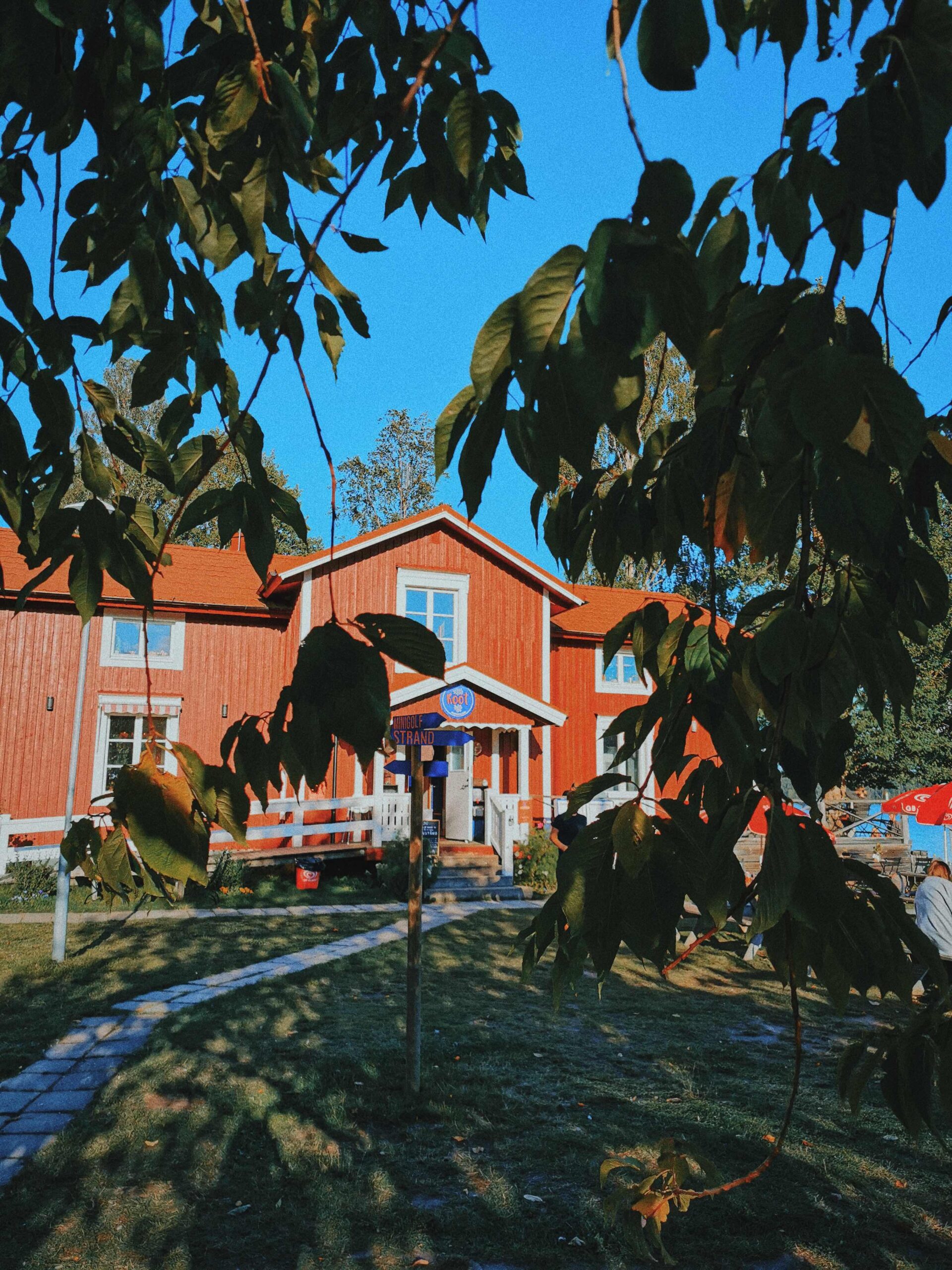 Roots Tavelsjö scaled Mina 5 favoritutflykter i Umeå (och runt omkring)