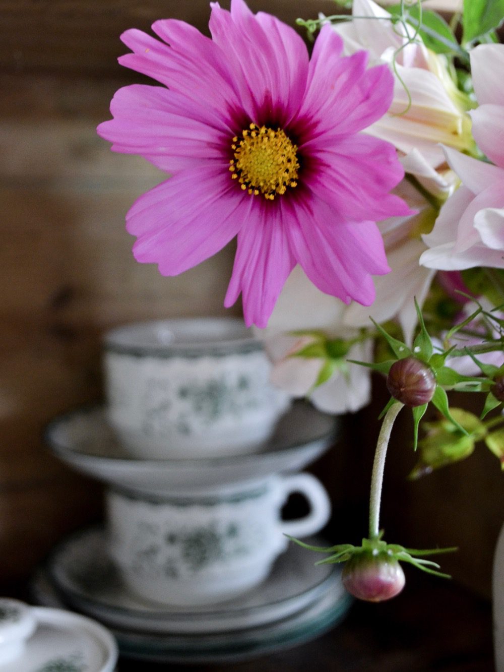 Rosenskära Sensommarbukett direkt från trädgården