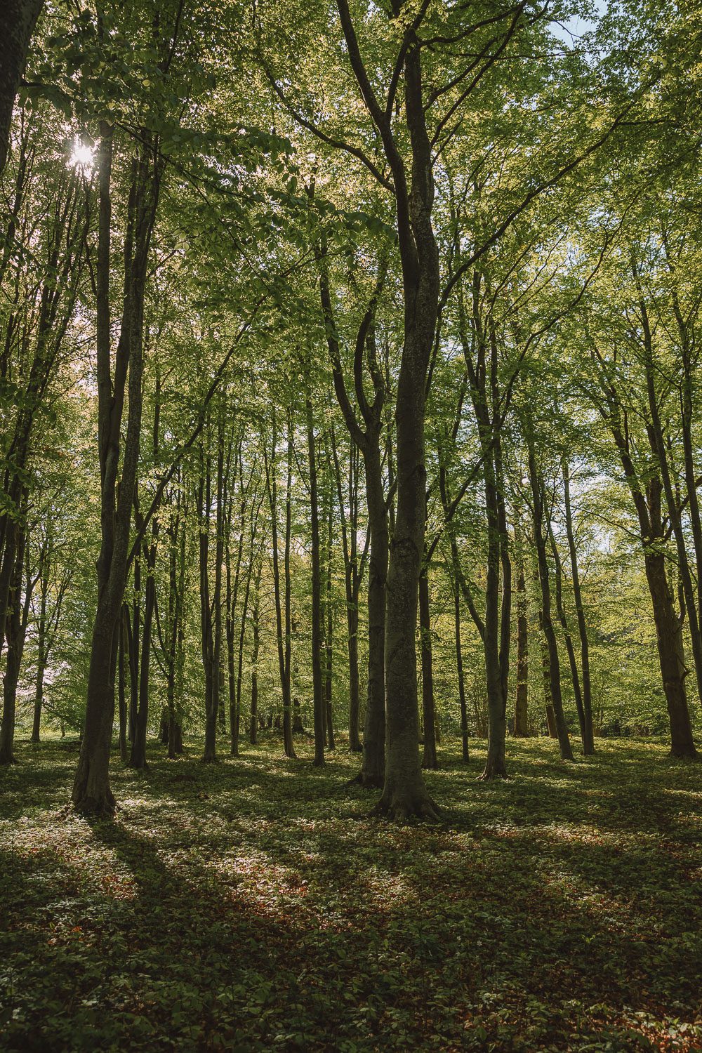 Sigtuna 2 2 Välkommen till Sigtuna - pärlan för hela familjen