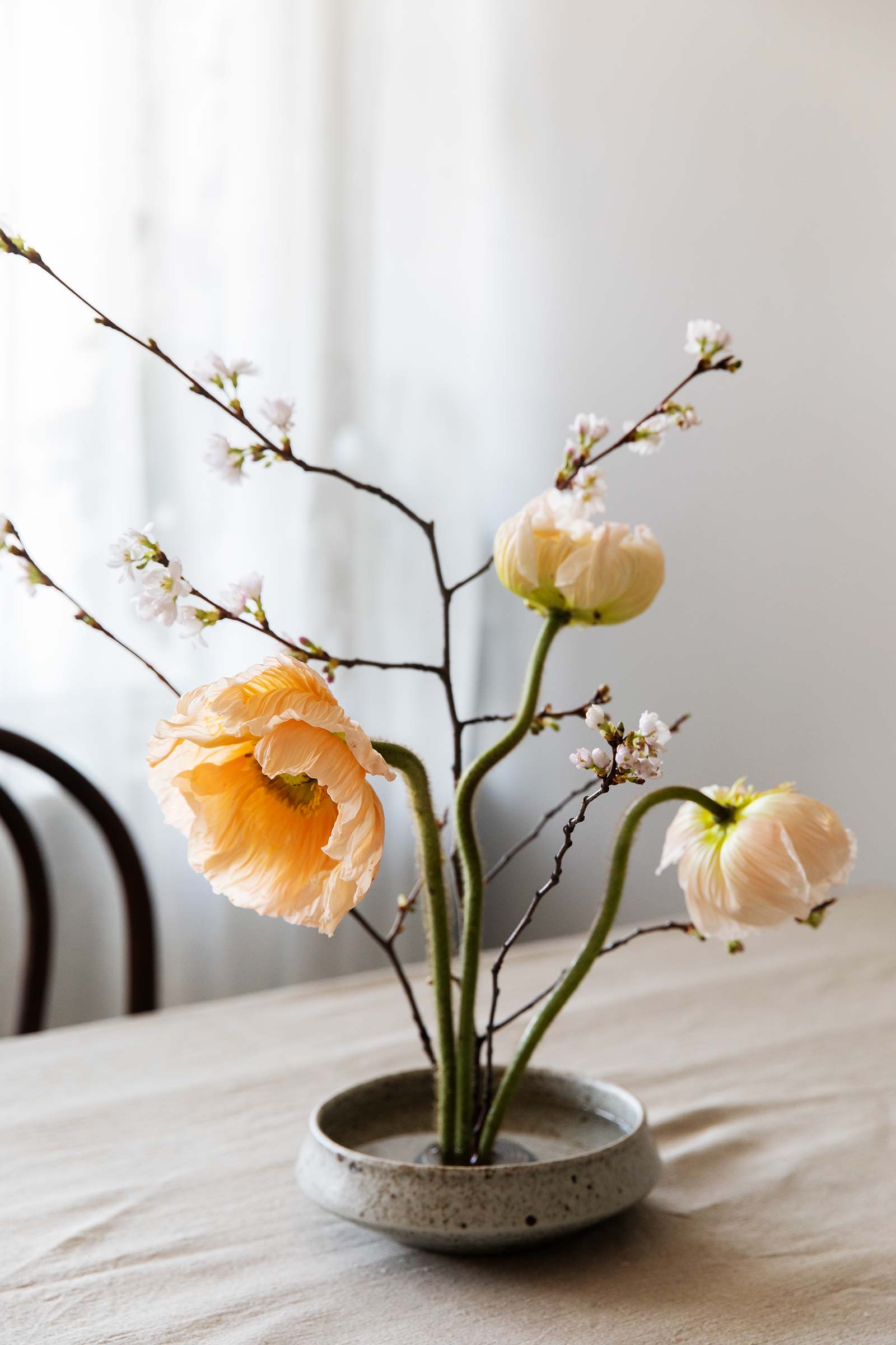 Vallmo 01 1 Ikebana med vallmo