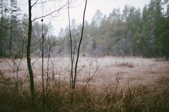 Läs mer om artikeln Höstens vemod