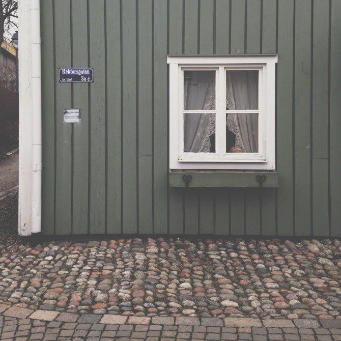 Läs mer om artikeln Instagram