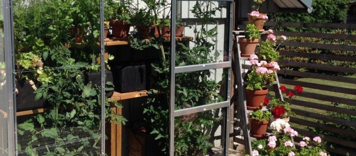 1C72A31E-0C51-4939-9C92-C5898CD15EC4