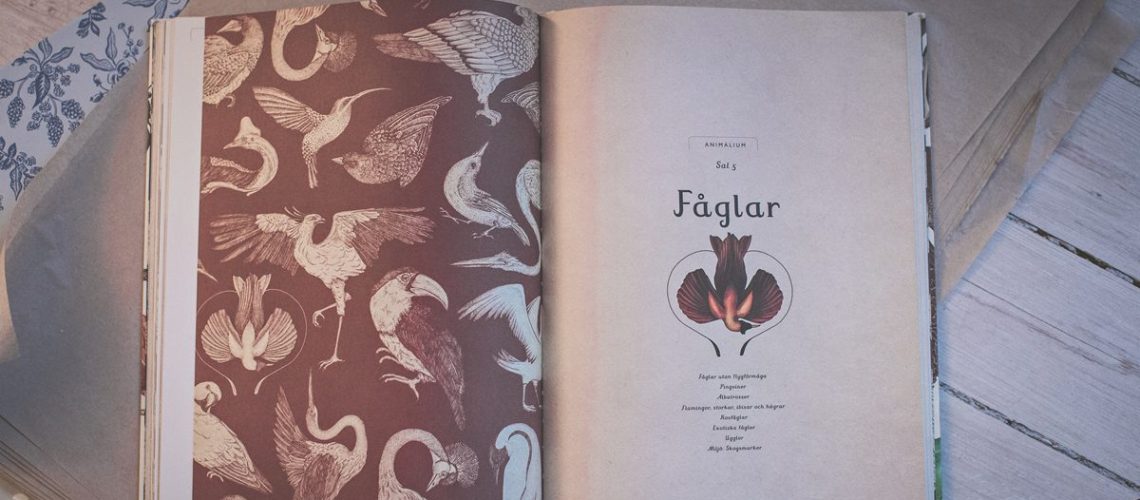 20151119-MX8A4577-1200