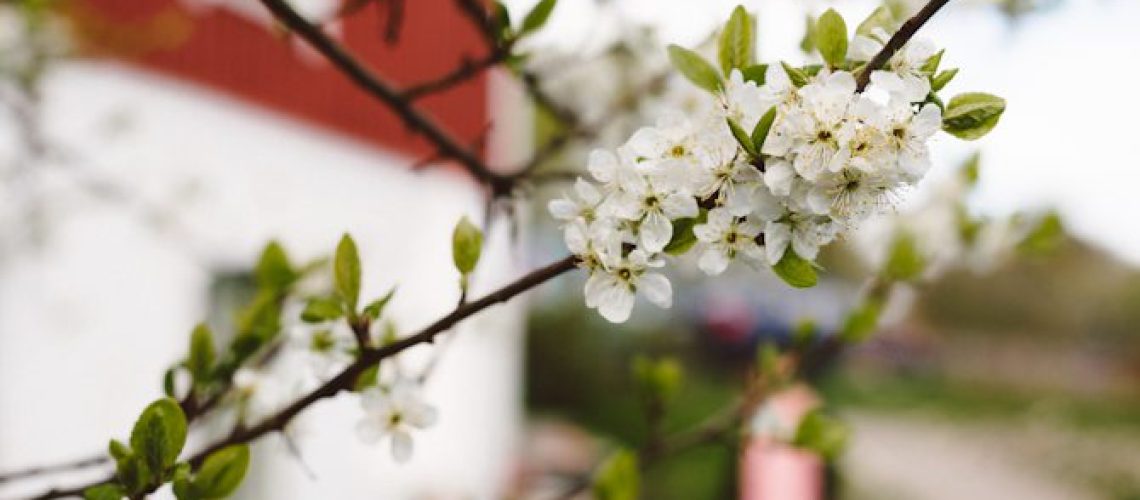 Spring by Babes in Boyland