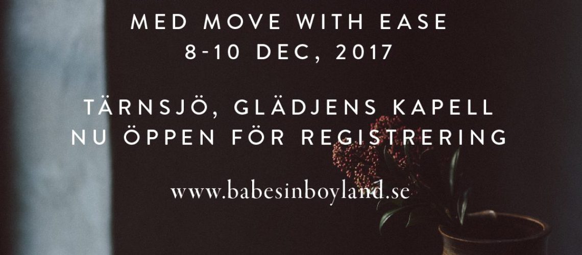 Babes in Boyland - Winter Workshop and Retreat