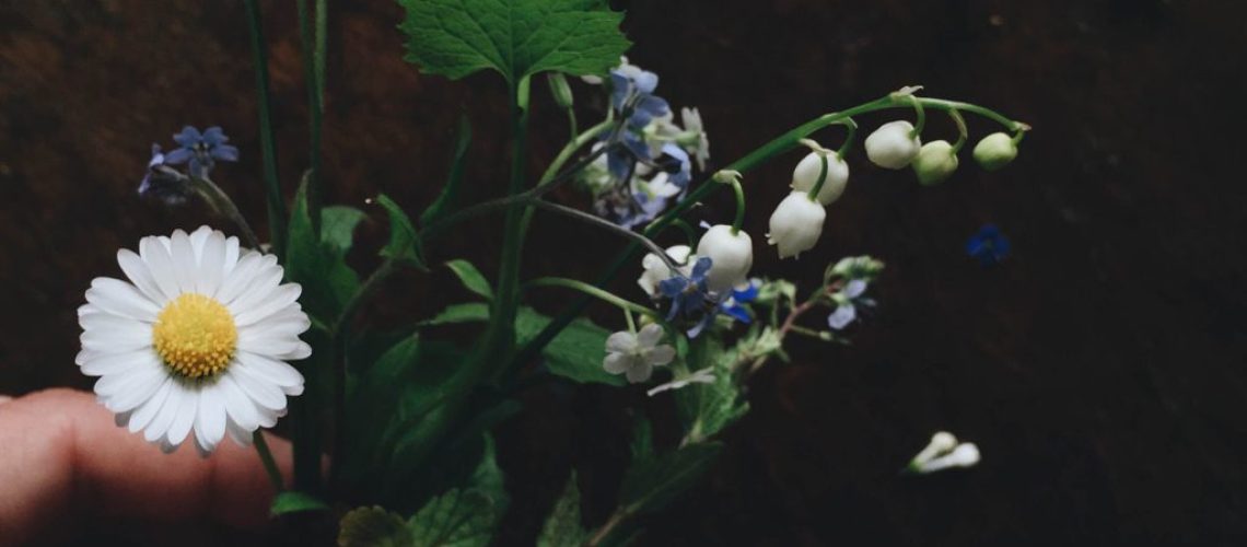 May flowers by Babes in Boyland