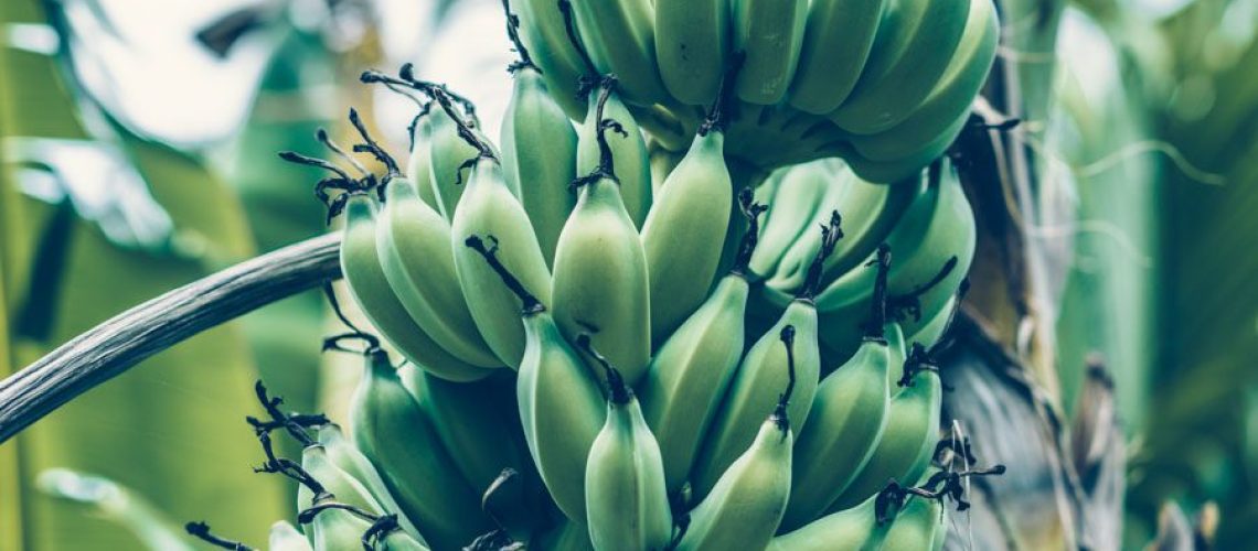 Lovely Life_Katrin Baath-06246