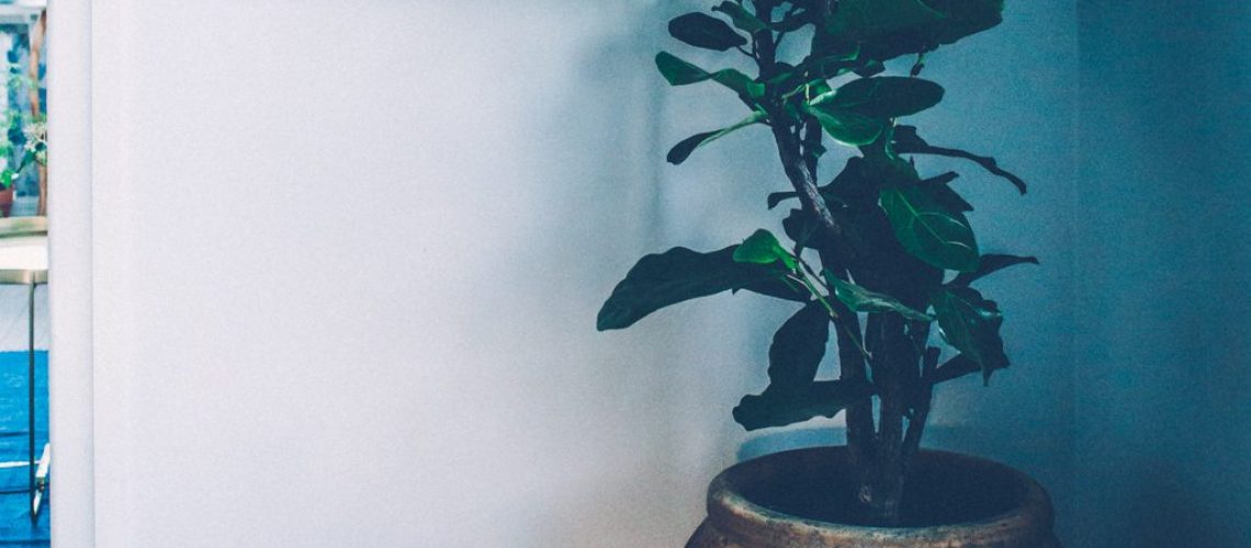 blue_ lagerqvist-