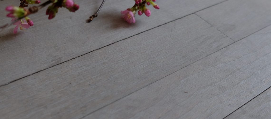 cherryblossom2001174